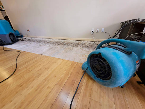 Professional Sewage Cleanup technician working in Red Oak, GA